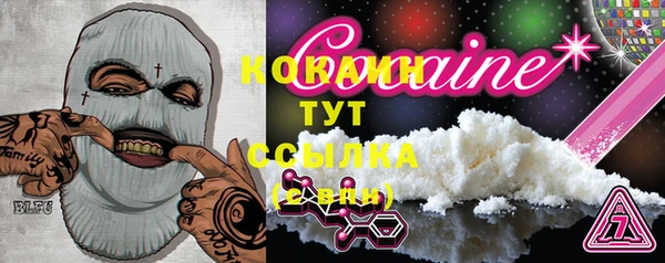 стаф Абинск